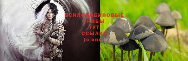 хмурый Бронницы