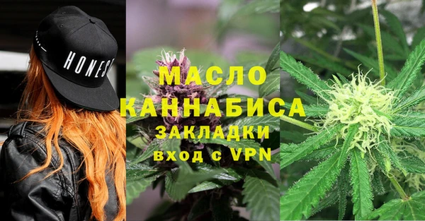 молекула духа Бородино