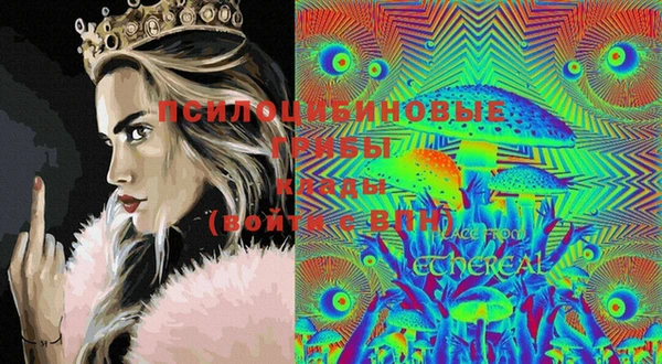 спиды Бугульма