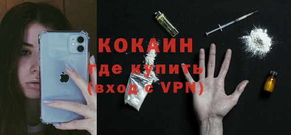 молекула духа Бородино