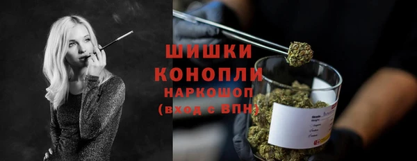 молекула духа Бородино
