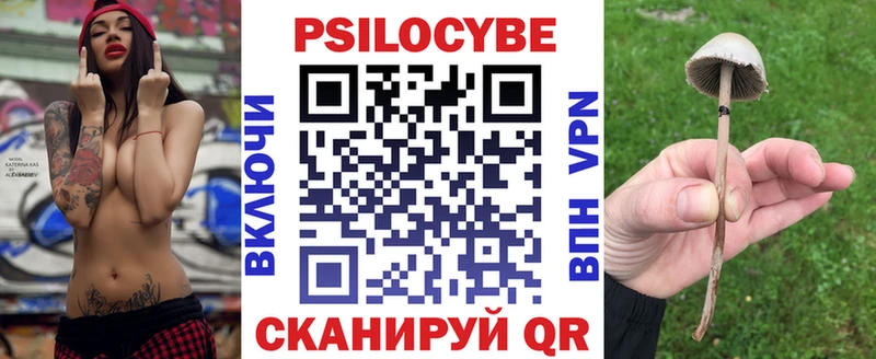 как найти закладки  Одинцово  Галлюциногенные грибы Magic Shrooms 
